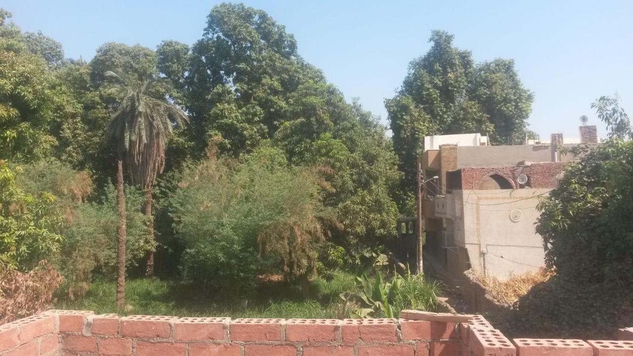 Shater Nubian House Aswan Bagian luar foto